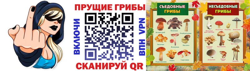 Псилоцибиновые грибы Magic Shrooms  Монино 